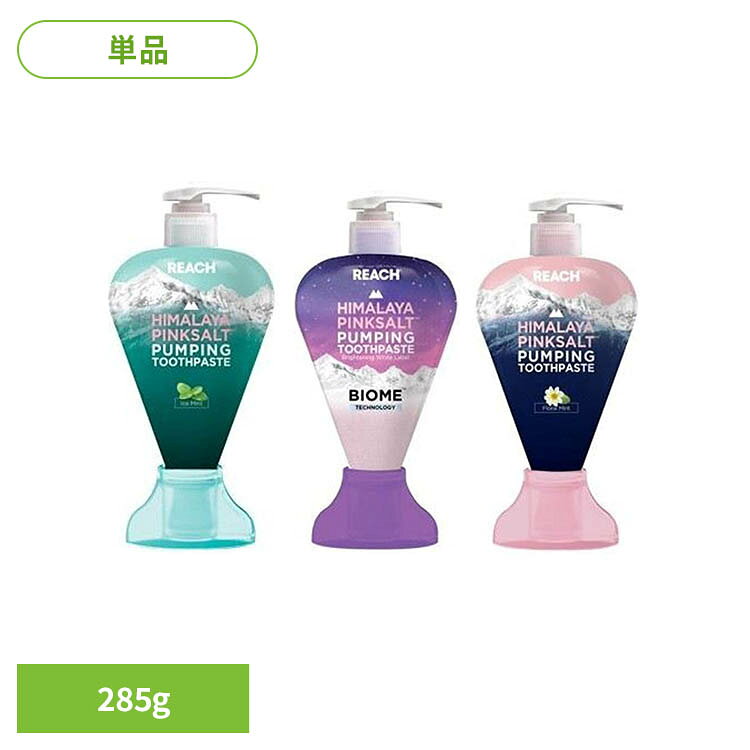 リーチ ヒマラヤピンクソルト ポンプ歯みがき 285g 28040リーチ ヒマラヤピンクソルト ポンプ歯みがき 歯みがき リーチ アイスミント バイオーム フローラルミント