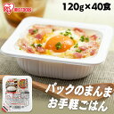米 パックご飯 120g 低温製法米のおいしいごはん 120g×40パックケース パックごはん ご飯 パック レトルト レンチン 備蓄 非常食 保存食 常温で長...