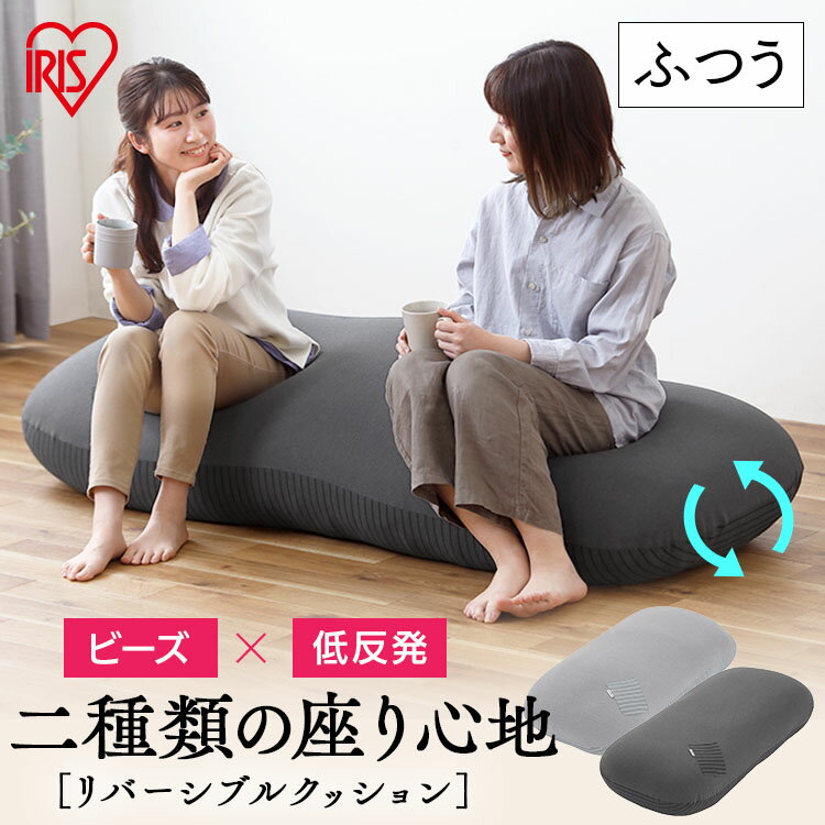 リバーシブルビーズクッション RBC-2P クッション ビーズ ビーズクッション 低反発 リバーシブル 洗えるカバー ロング 大きい ビッグ ポケット付き ソファクッション フロアクッション アイリスオーヤマ