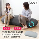 クッション 低反発 ビーズクッション ビーズクッション本体 RBC-EUR-M グレー リバーシブル ビーズクッション 本体 単品 カバー別売 低反発 ビーズ クッション ソファ フィット もっちり ふつう 2P リビング アイリスオーヤマ