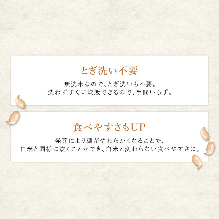 発芽玄米 300g 玄米 米 おこめ ごはん 発芽玄米 つや姫 宮城県産 食物繊維 GABA アイリスフーズ