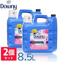 【2本セット】柔軟剤 ダウニー メキシコダウニー アロマフローラル ディバイン 8.5L 送料無料 ダウニー 大容量 ダウニー柔軟剤 Downy 液体柔軟剤 メキシカンダウニー ボトル ランドリー 洗濯 匂い 青 【D】