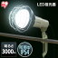  3000lm LWTL-3000CK̵ ץå饤 PROLEDS Lite LED LED饤 LED 饤       ۸  ꥹ new