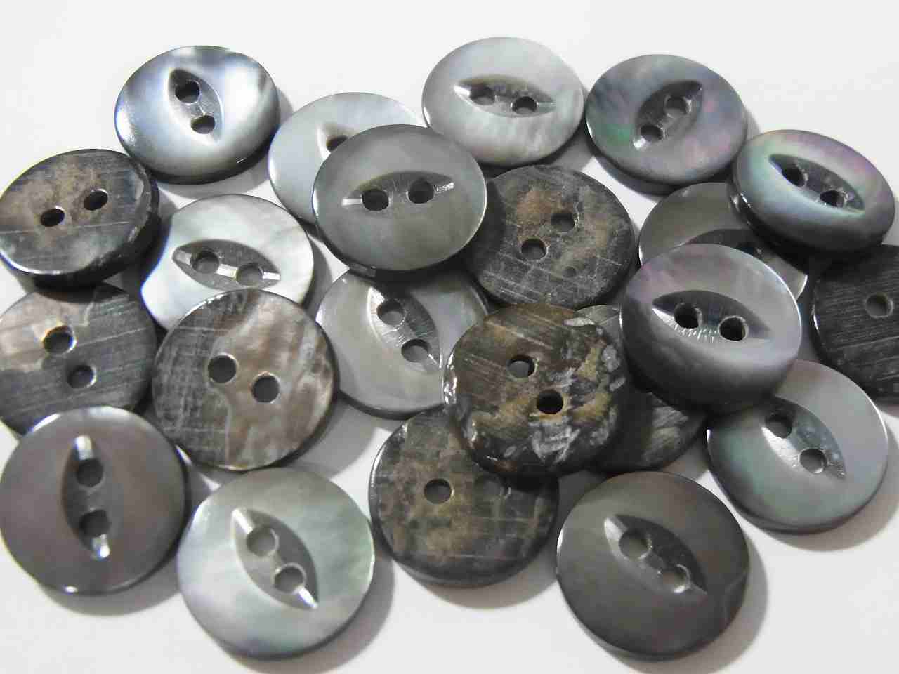 黒蝶貝釦　ネコメ型　18mm