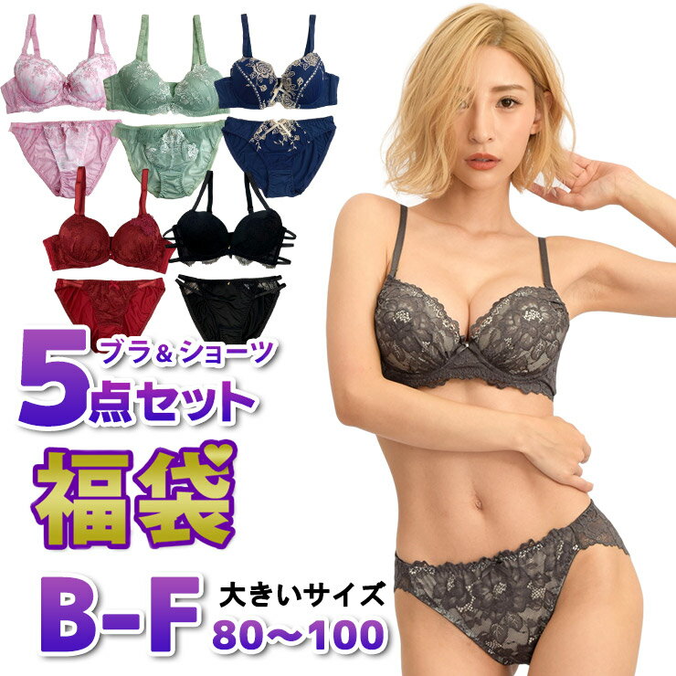 大きいサイズ 福袋 ブラジャー ブラショーツセット 下着 レディース 2021 ブラセット 上下 5点セット/B85 B90 B95 C85 C90 C95 D85 D90 D95 D100 E85 E90 E95 E100 F85 F90 F95 F100/Bカップ Cカップ Dカップ Eカップ Fカップ/可愛い かわいい 安い おすすめ