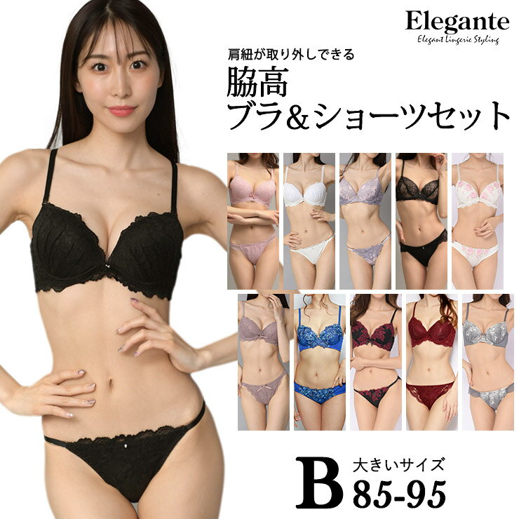 大きいサイズ レディース ブラジャー ショーツセット Bカップ B85 B90 B95 LL 3L 4L 脇高 肩紐取外し可 下着 ランジェリー 新色入荷 ネコポス不可