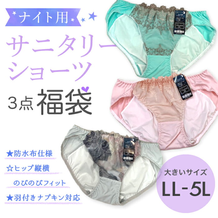 大きいサイズ レディース 下着 サニタリーショーツ 福袋 3枚セット 夜用 ナイト用 多い日用 LL 3L 4L 5L 新入荷 ネコポス可