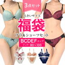 大きいサイズ 福袋 ブラジャー ブラショーツセット 下着 レディース 2022 ブラセット 上下 3点セット/B85 B90 B95 C85 C90 C95 D85 D90 D95 D100 E85 E90 E95 E100 F85 F90 F95 F100 アンダー/Bカップ Cカップ Dカップ Eカップ Fカップ/可愛い かわいい 安い おすすめ