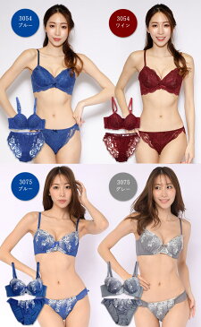 大きいサイズ レディース ブラジャー ショーツセット Iカップ I70 I75 I80 I85 I90 I95 M L LL 3L 4L 脇高 肩紐取外し可 下着 ランジェリー 新デザイン入荷 ネコポス不可