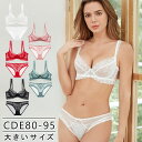 【10%OFF】大きいサイズ レディース 下着 ブラジャー ショーツセット 上下セット ブラセット 透けブラ セクシー C80 C85 C90 C95 D80 D85 D90 D95 E80 E85 L LL 3L 新入荷 メール便可