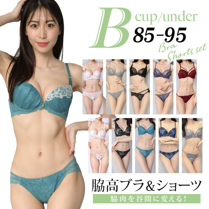 大きいサイズ レディース ブラジャー ショーツセット Bカップ B85 B90 B95 LL 3L 4L 脇肉スッキリ 下着 ランジェリー 新色入荷 ネコポス不可