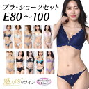 大きいサイズ レディース ブラジャー ショーツセット 下着 Eカップ E80 E85 E90 E95 E100 モールドカップ ランジェリー 新色入荷 ネコポス不可