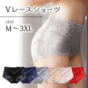 大きいサイズ レディース ショーツ パンティ レース シアー M L LL 3L 4L ブラック グレー ベージュ ネイビー ピンク レッド 新入荷 メール便可