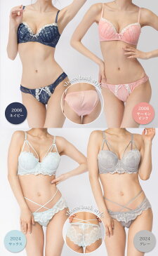 大きいサイズ レディース ブラジャー ショーツセット 下着 Dカップ D85 D90 D95 D100 脇肉スッキリ 下着 ランジェリー 新色入荷 ネコポス不可