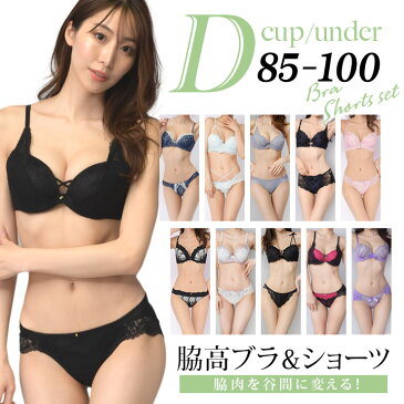 大きいサイズ レディース ブラジャー ショーツセット 下着 Dカップ D85 D90 D95 D100 脇肉スッキリ 下着 ランジェリー 新色入荷 ネコポス不可