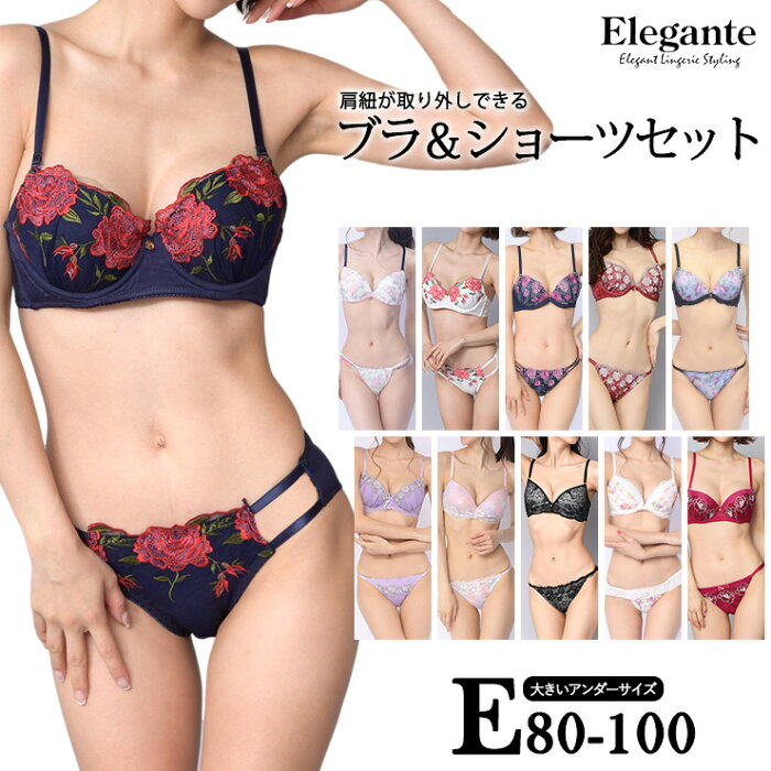 大きいサイズ 下着 レディース ブラジャー ショーツセット Eカップ E80 E85 E90 E95 E100 L LL 3L 4L 5L 肩紐取り外し可 モールドカップ 新色入荷 ネコポス不可