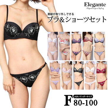 大きいサイズ 下着 レディース ブラジャー ショーツセット Fカップ F80 F85 F90 F95 F100 L LL 3L 4L 5L 肩紐取り外し可 モールドカップ 新色入荷 ネコポス不可