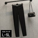 【10%OFF】大きいサイズ レディース スキニーパンツ ストレッチ 黒 レギパン オールシーズン 春 夏 秋 冬 L LL 3L 4L 5L ブラック 新入荷 メール便可