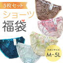 大きいサイズ レディース ショーツ 5枚セット 福袋 パンティ スタンダード トリコット M L LL 3L 4L 5L きれいめ ノーマル