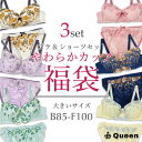 大きいサイズ ブラセット 福袋 2025 刺繍ブラ ショーツセット B85 B90 B95 C85 C90 C95 D85 D90 D95 E85 E90 E9...