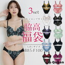 大きいサイズ 脇高ブラ 福袋 2025 ブラショーツセット B85 B90 B95 C85 C90 C95 D85 D90 D95 E80 E85 E90 E9...