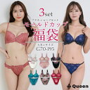 大きいサイズ ブラショーツ 福袋 2025 ブラジャー ショーツセット G70 G75 G80 G85 G90 G95 G100 H70 H75 H80 H85...
