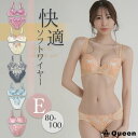 大きいサイズ ブラジャー ショーツセット ソフトワイヤー レディース 女性下着 インナー ランジェリー E80 E85 E90 E95 E100