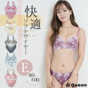 大きいサイズ ブラジャー ショーツセット ソフトワイヤー レディース 女性下着 インナー ランジェリー F80 F85 F90 F95 F100