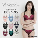 ブラショーツセット 大きいサイズ ブラジャー ショーツセット 下着 レディース 女性 上下セット ランジェリー スタンダード