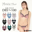ブラショーツセット 大きいサイズ ブラジャー ショーツセット 下着 レディース 女性 上下セット ランジェリー スタンダード