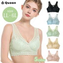 ブラジャー ノンワイヤー 総レース メッシュ バッククロス バックレース 大きいサイズ 下着 レディース ソフトブラ LL 3L 4L 5L 6L ナイトブラ 美シルエット