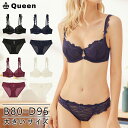 ブラジャー ショーツ セット 大きいサイズ レース 薄ブラ ノンパデットブラ セクシー 下着 レディース B80 B85 C80 C85 C90 C95 D80 D85 D90 D95