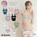 大きいサイズ ブラジャー ショーツセット レディース 下着 H70 H75 H80 H85 H90 H95 H100 脇高ブラ ソフトワイヤー モールドカップ
