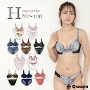 大きいサイズ ブラショーツセット レディース 下着 モールドカップ ブラジャー セクシー レース 大人 派手 H70 H75 H80 H85 H90 H95 H100
