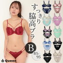 ブラショーツセット 脇高ブラ 大きいサイズ レディース 下着 モールドカップ 谷間 盛れる 美胸 背中すっきり 補整ブラ B85 B90 B95