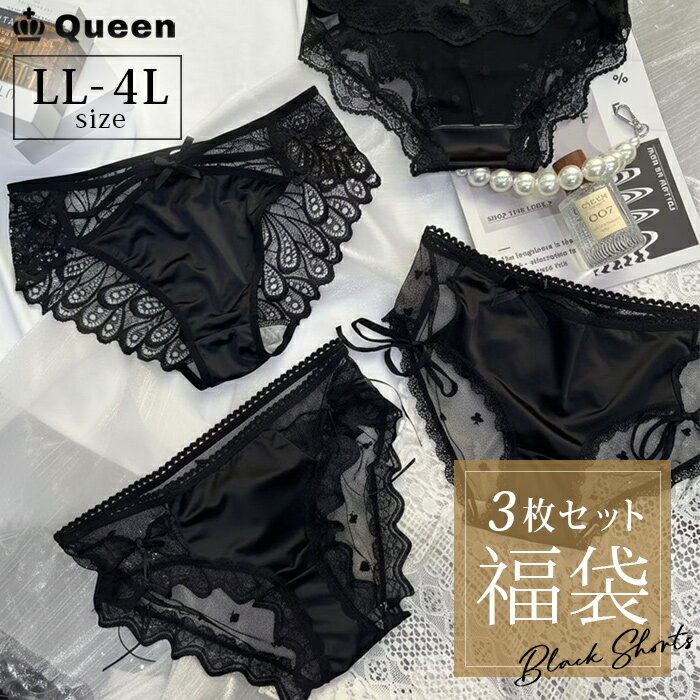 �礭�������� ��ǥ����� ʡ�� ���硼�� �� 3�祻�å� �������� �졼�� ������ �ѥ�ƥ��� LL 3L 4L ������ �᡼���ز�