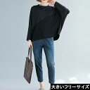 大きいサイズ レディース 切替トップス ドルマンカットソー プルオーバー ラメ LL 3L 4L 5L 6L ブラック グレー 10代 20代 30代 40代 13号 15号 17号 19号 21号 秋 新入荷 メール便可