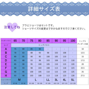 福袋 ブラジャー ブラショーツセット 下着 レディース 2020 ブラセット 上下 3点セット/A70 A75 A80 B70 B75 B80 C70 C75 C80 D70 D75 D80 E70 E75 E80 F70 F75 F80/Aカップ Bカップ Bカップ Cカップ Dカップ Eカップ Fカップ/かわいい セクシー 安い 人気