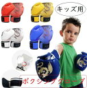 【本日★最大-20%クーポン&P5倍】キッズ用 ボクシンググローブ 両手 トレーニング 子供用グローブ 格闘技 キックボクシング