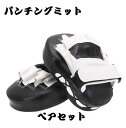 【本日★最大-20%クーポン&P5倍】パンチングミット ボクシング トレーニング 練習 ミット キックボクシング 空手 テコンドー 格闘技
