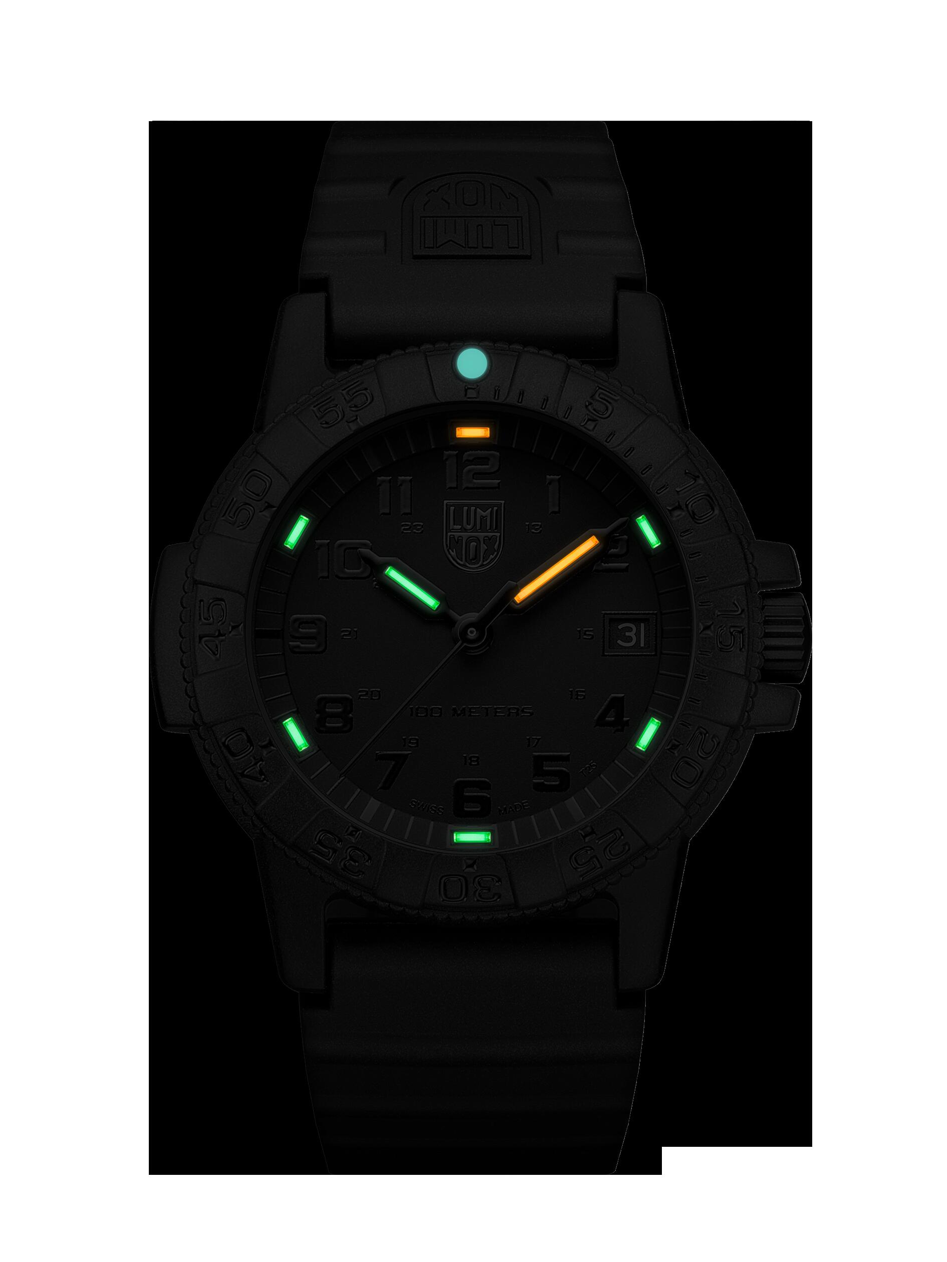 LUMINOX（ルミノックス）『0301LUMINOXLEATHERBACKSEATURTLE0300SERIES』