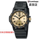 ルミノックス 腕時計（メンズ） ルミノックス 腕時計 日本正規 LUMINOX LEATHERBACK SEA TURTLE GIANT 0320 SERIES Ref.0325GP ミリタリーウォッチ ダイバーズウォッチ 日本正規ギャランティカード付属 直営店