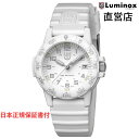 ルミノックス 腕時計 日本正規 LUMINOX LEATHERBACK SEA TURTLE 0300 SERIES Ref.0307.WO ミリタリーウォッチ ダイバーズウォッチ 日本正規ギャランティカード付属 直営店