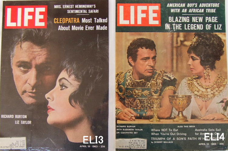 エリザベステーラー、ラミネート（LIFEマガジン）