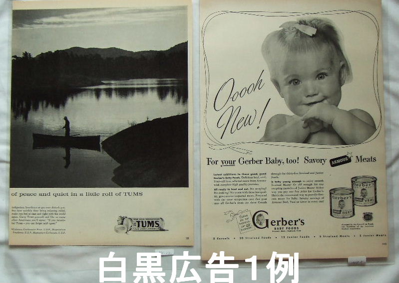 �ա��ɡʥޥ��ʡ��֥���¾�ˡ�LIFE�ޥ������