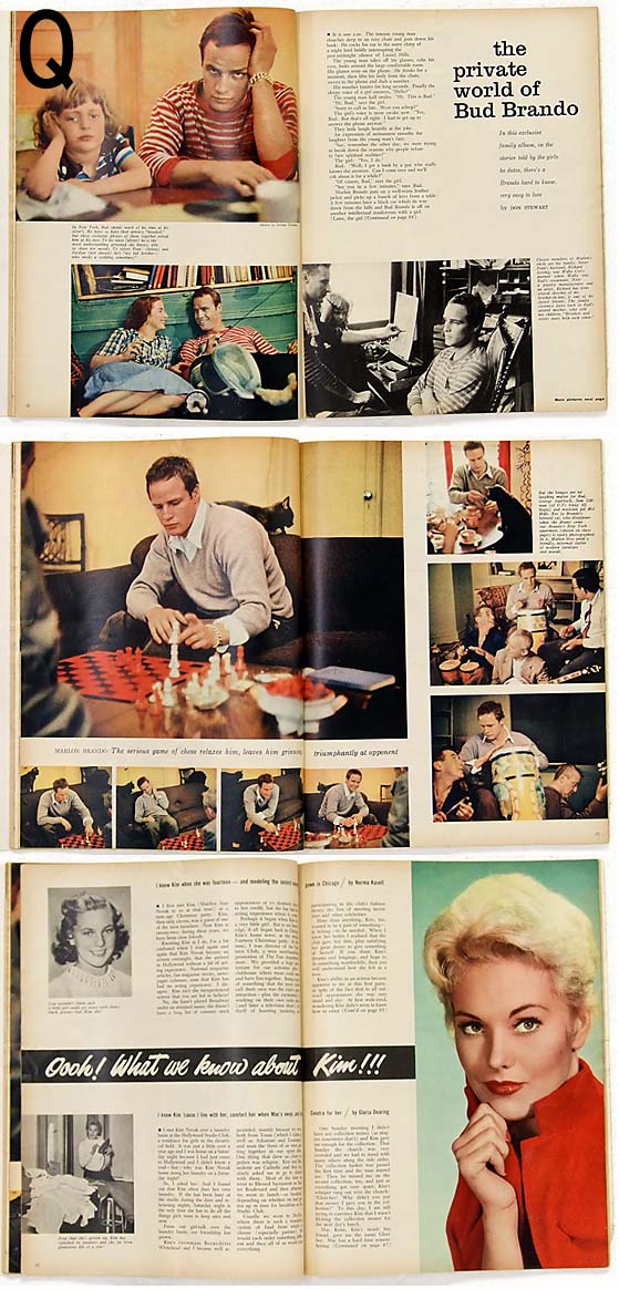 �ࡼ�ӡ��ޥ�����ʥ��������������MV1P-