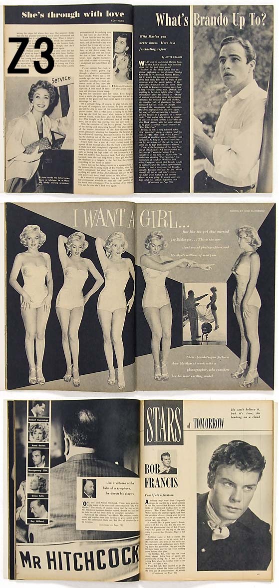 �ࡼ�ӡ��ޥ�����ʥ��������������MV1Z2-