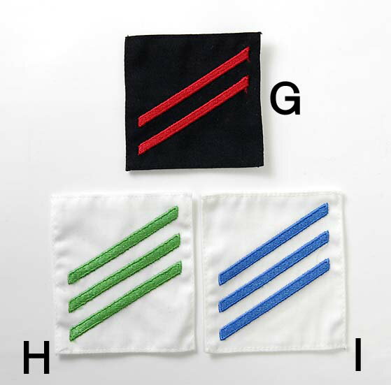 アメリカ軍 ミリタリー 腕階級章 新品 RANK-ARM-