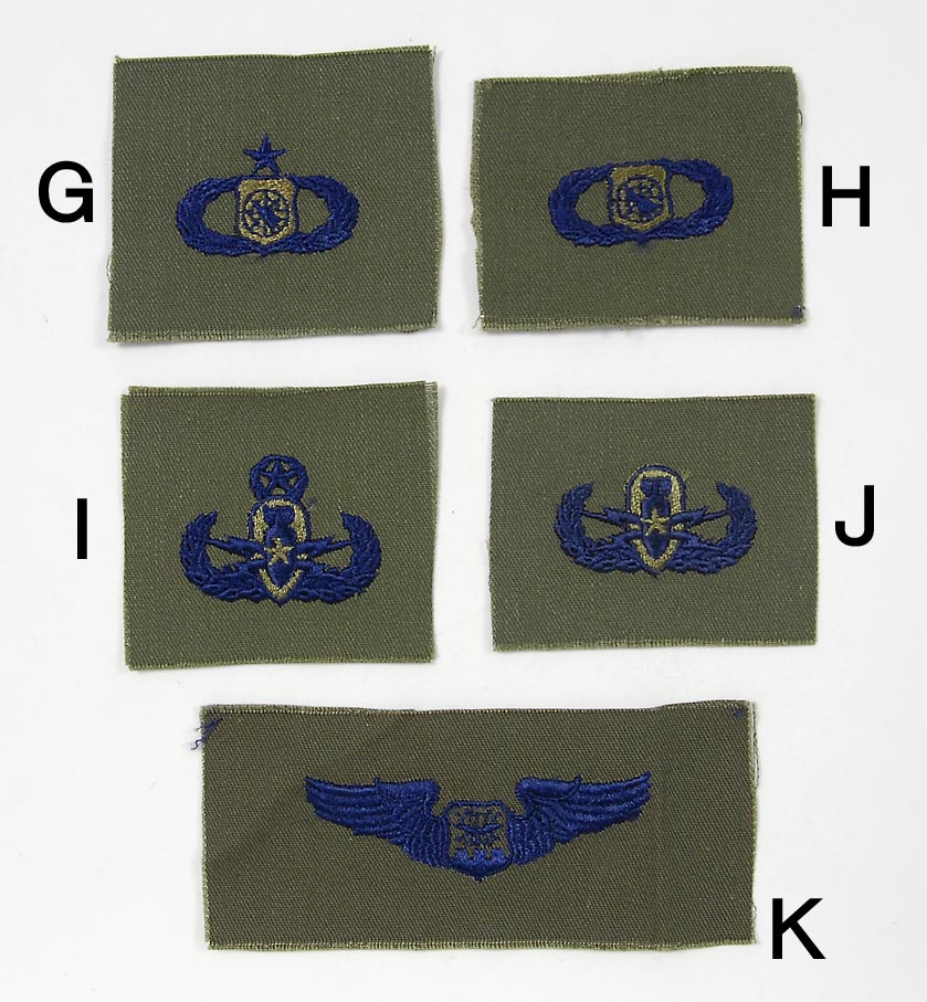 アメリカ軍 ミリタリー 襟章ワッペン 新品 RANK-S2-