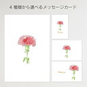 メッセージカード カーネーション 4種類から選べる 【 母の日 おしゃれ かわいい 誕生日 お祝い 結婚 プレゼント ギフトカード ギフト イラスト タイポグラ...